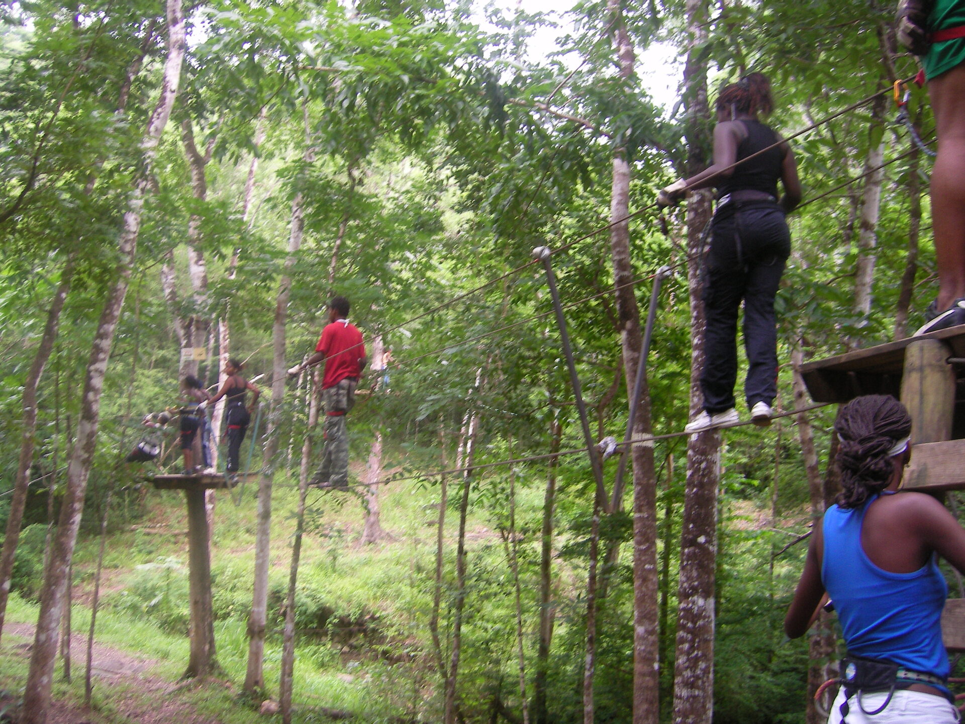Activité accrobranche UFCV Martinique